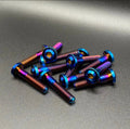 All E-Moto Low Profile Shift lock Bolts (Set Of 2)